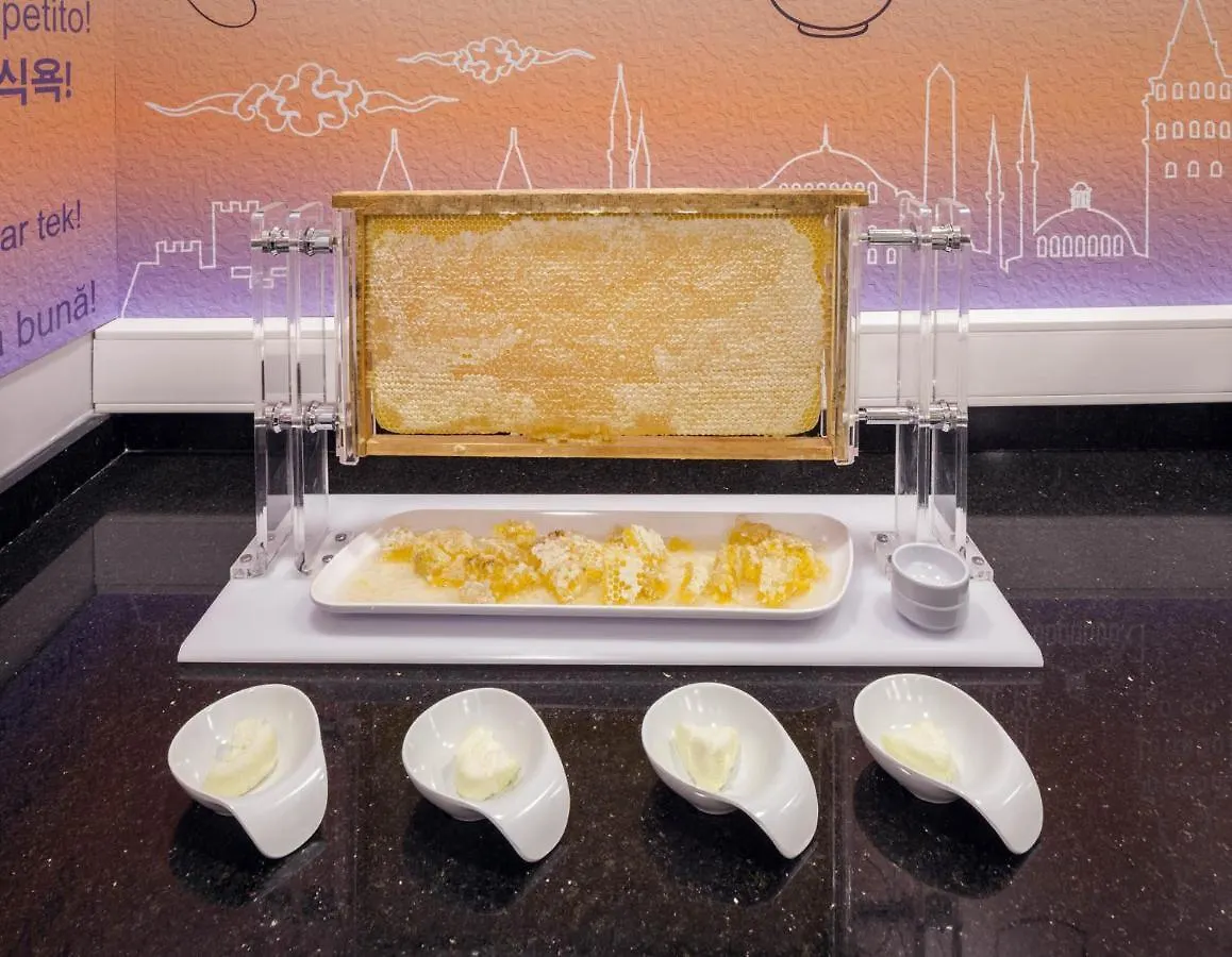 *** Hotel Obahan Hotel-Special Class Istanbul Turcia